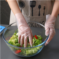PE glove from DisposablesInc.com. The best import service in China. Import your disposable items and products from us. 